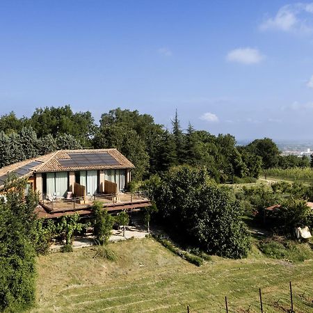 La Ca Dal Non Bioagriturismo - Alpenice Savignano sul Panaro エクステリア 写真
