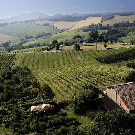 La Ca Dal Non Bioagriturismo - Alpenice Savignano sul Panaro エクステリア 写真