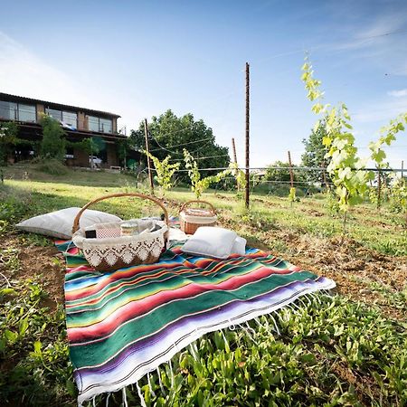 La Ca Dal Non Bioagriturismo - Alpenice Savignano sul Panaro エクステリア 写真