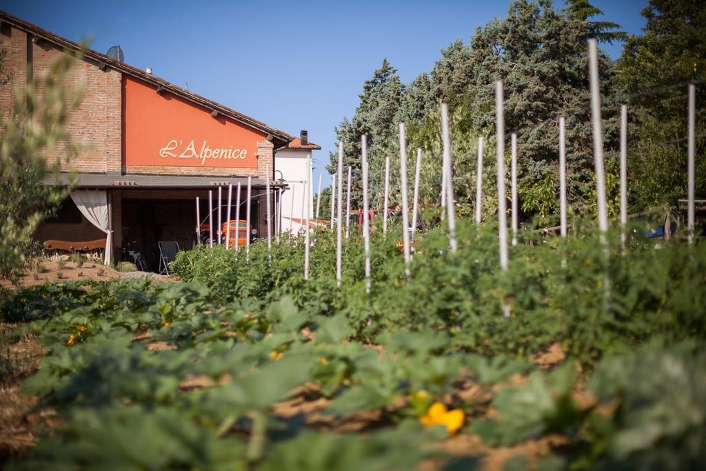 La Ca Dal Non Bioagriturismo - Alpenice Savignano sul Panaro エクステリア 写真