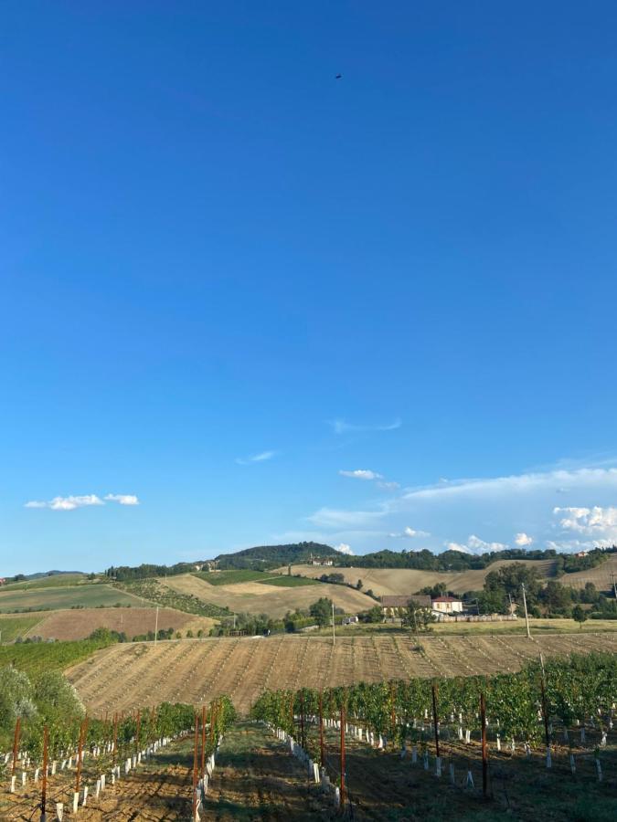 La Ca Dal Non Bioagriturismo - Alpenice Savignano sul Panaro エクステリア 写真