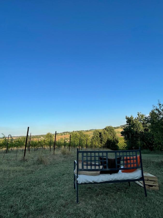 La Ca Dal Non Bioagriturismo - Alpenice Savignano sul Panaro エクステリア 写真