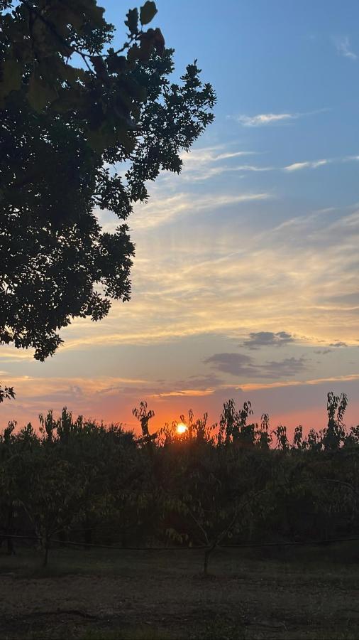 La Ca Dal Non Bioagriturismo - Alpenice Savignano sul Panaro エクステリア 写真