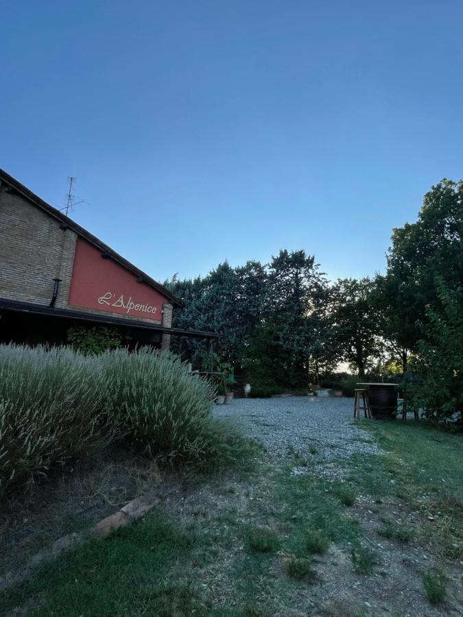 La Ca Dal Non Bioagriturismo - Alpenice Savignano sul Panaro エクステリア 写真