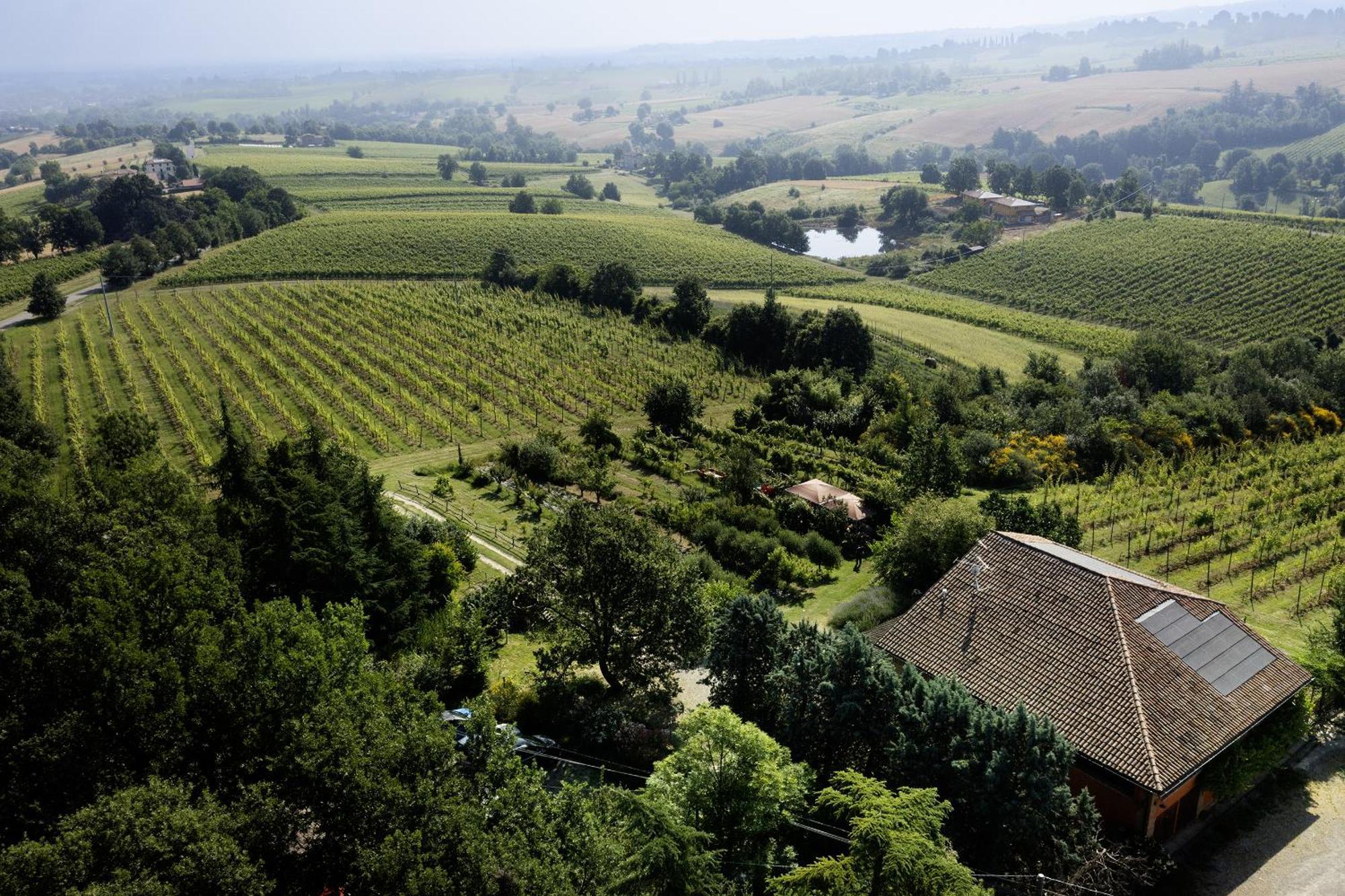 La Ca Dal Non Bioagriturismo - Alpenice Savignano sul Panaro エクステリア 写真