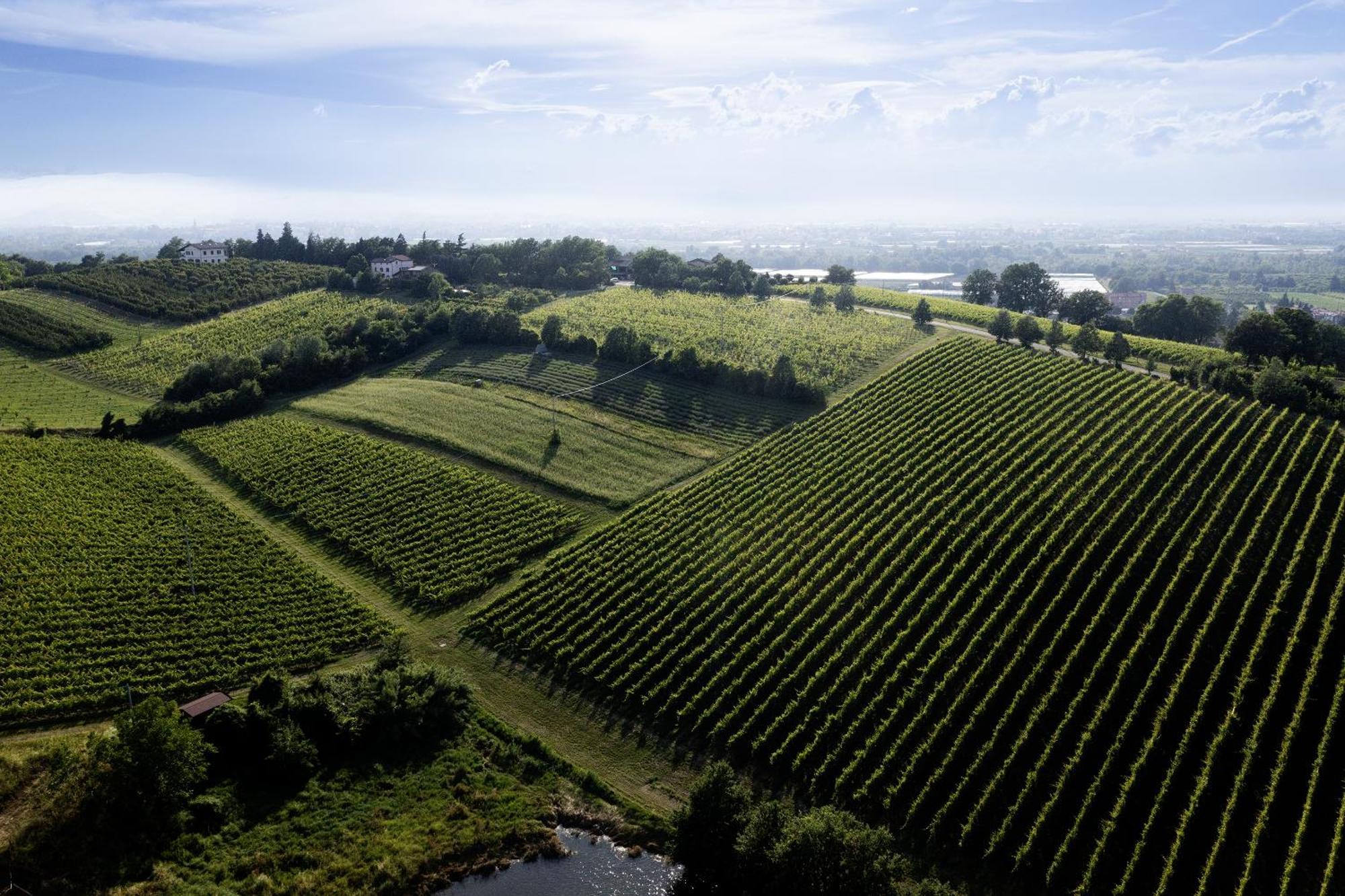 La Ca Dal Non Bioagriturismo - Alpenice Savignano sul Panaro エクステリア 写真