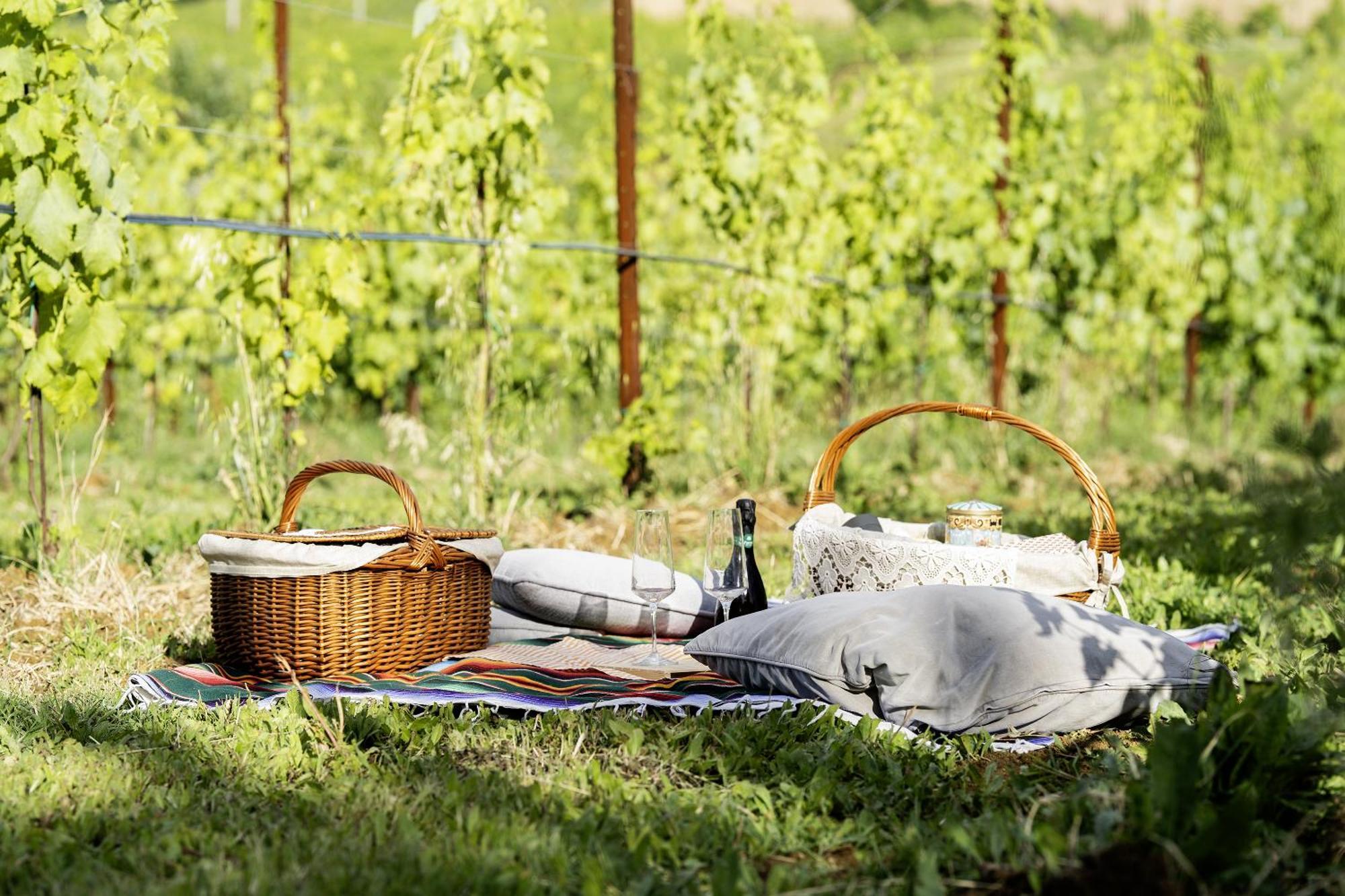 La Ca Dal Non Bioagriturismo - Alpenice Savignano sul Panaro エクステリア 写真