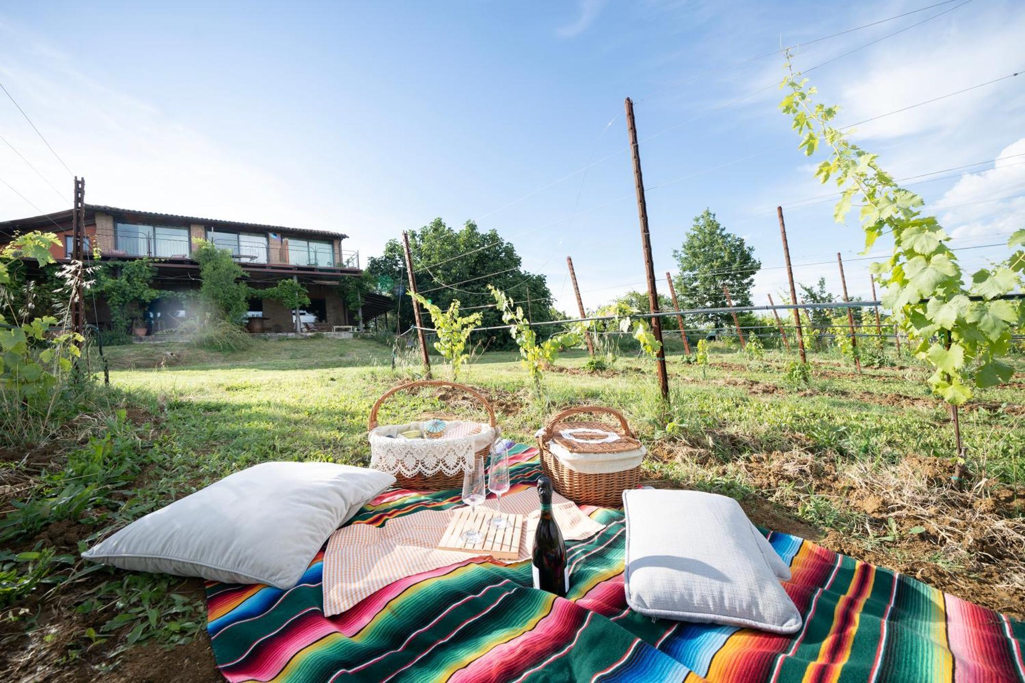 La Ca Dal Non Bioagriturismo - Alpenice Savignano sul Panaro エクステリア 写真
