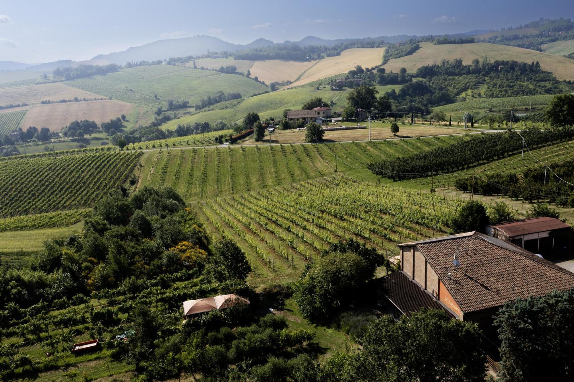 La Ca Dal Non Bioagriturismo - Alpenice Savignano sul Panaro エクステリア 写真
