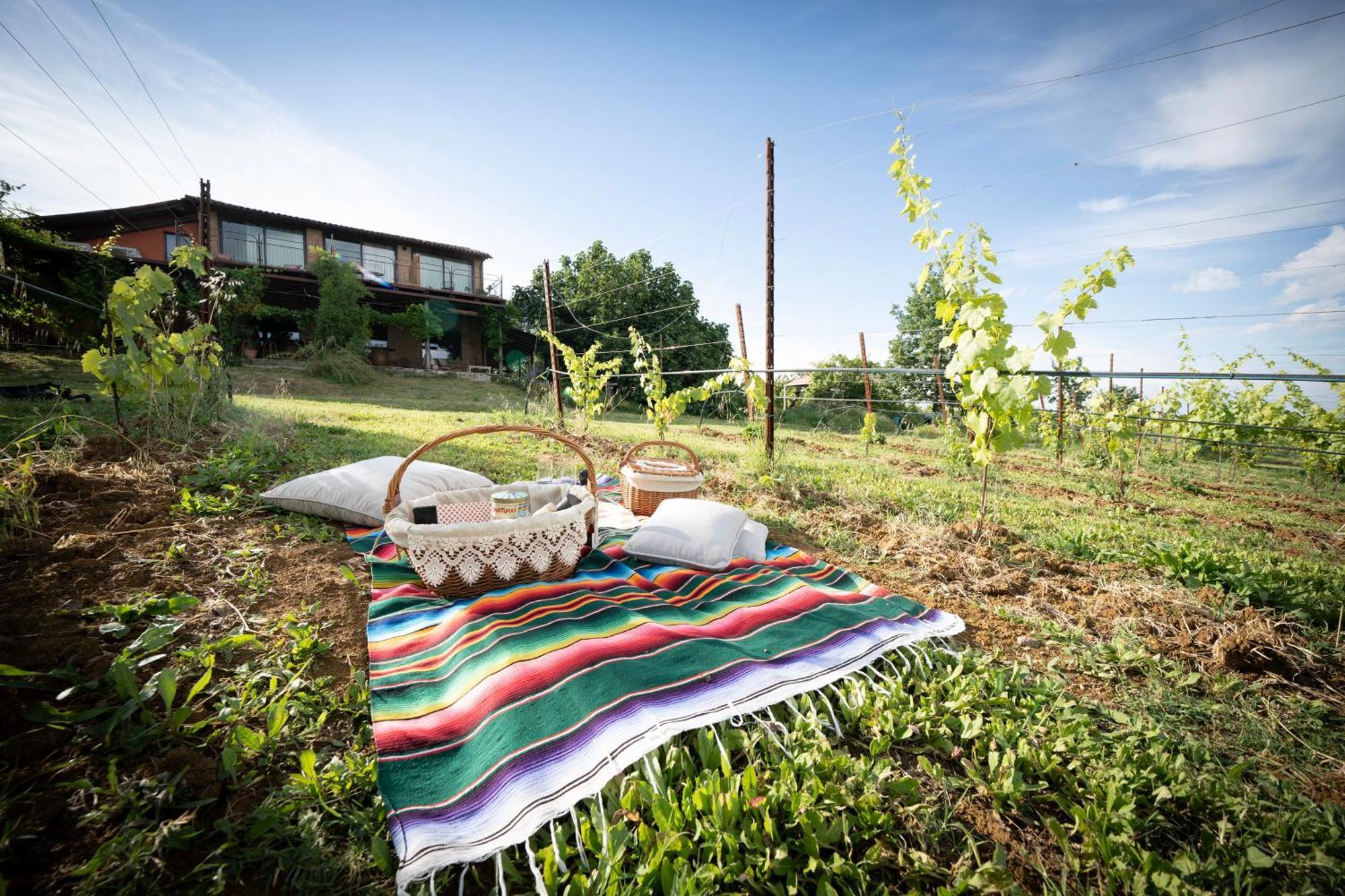 La Ca Dal Non Bioagriturismo - Alpenice Savignano sul Panaro エクステリア 写真