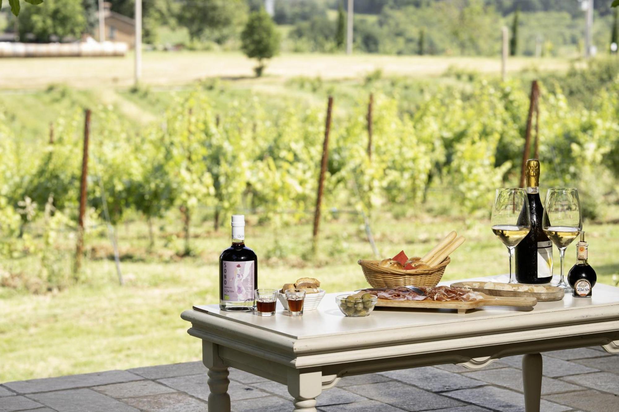 La Ca Dal Non Bioagriturismo - Alpenice Savignano sul Panaro エクステリア 写真