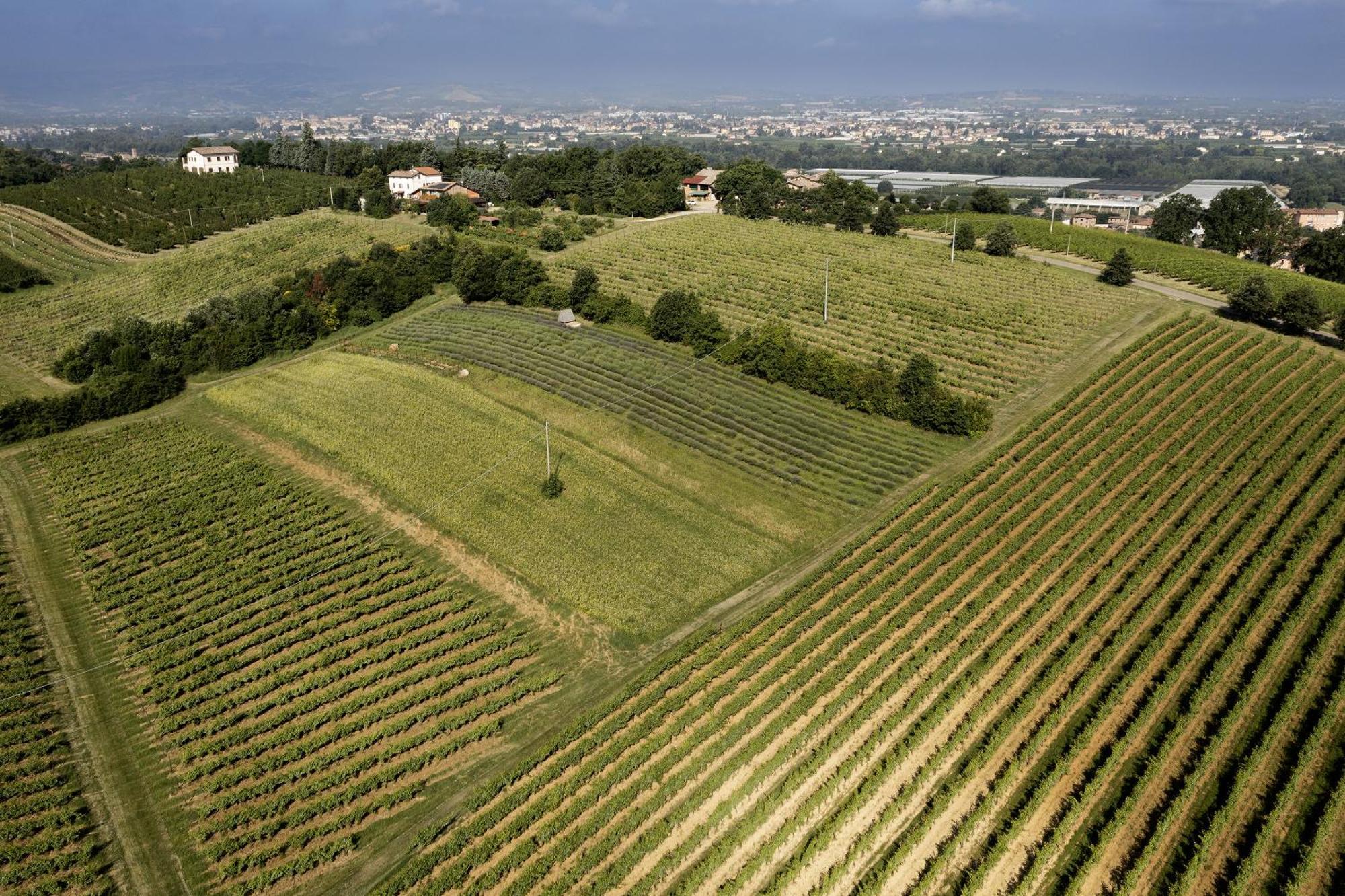 La Ca Dal Non Bioagriturismo - Alpenice Savignano sul Panaro エクステリア 写真