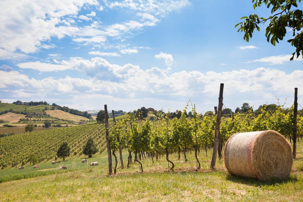 La Ca Dal Non Bioagriturismo - Alpenice Savignano sul Panaro エクステリア 写真
