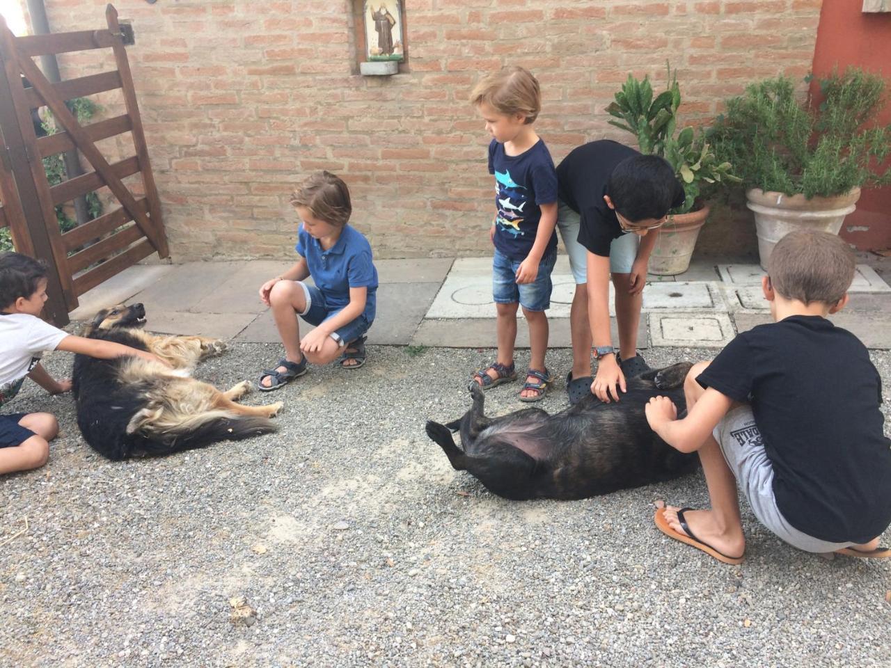 La Ca Dal Non Bioagriturismo - Alpenice Savignano sul Panaro エクステリア 写真